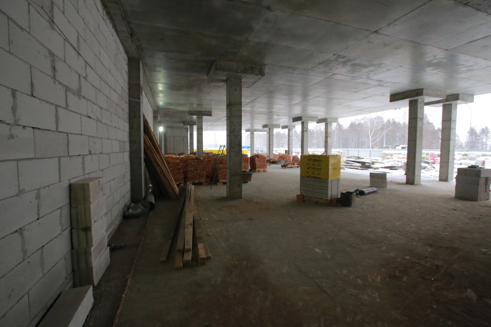 Ноябрь 2021 года