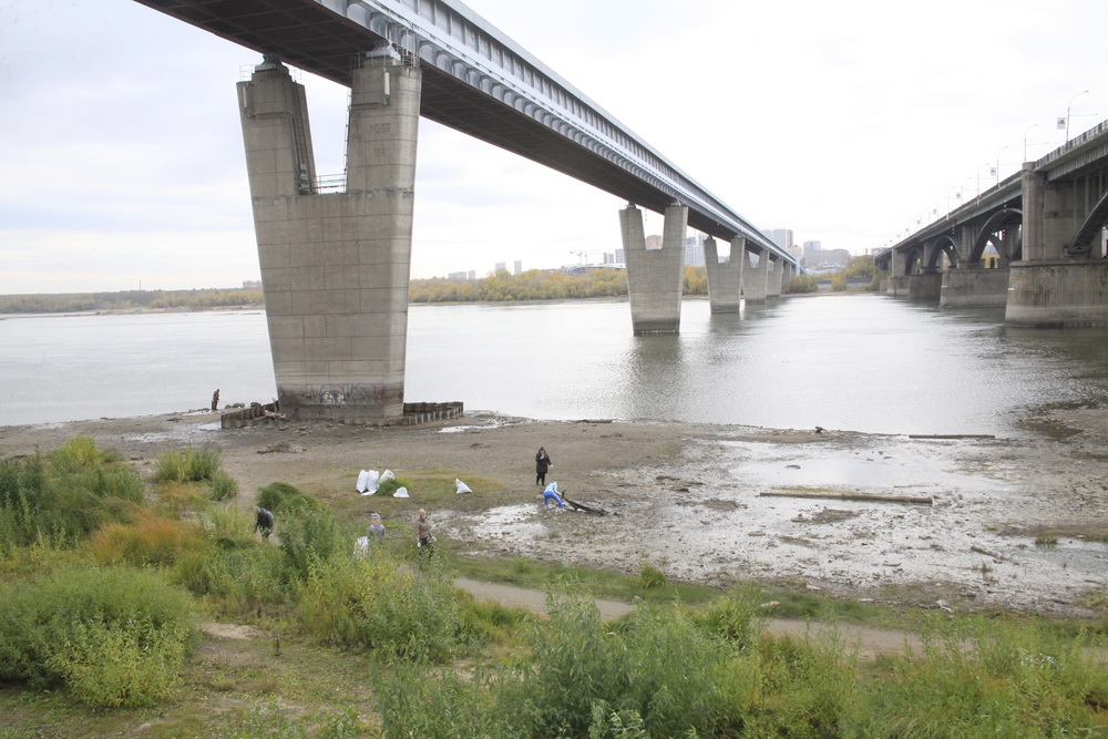 Сбор мусора на берегу Оби. Октябрь 2021 года