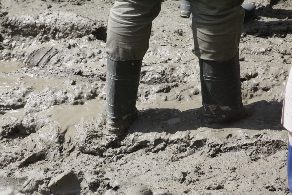 Реконструкция Заельцовского парка. Июль 2021 года