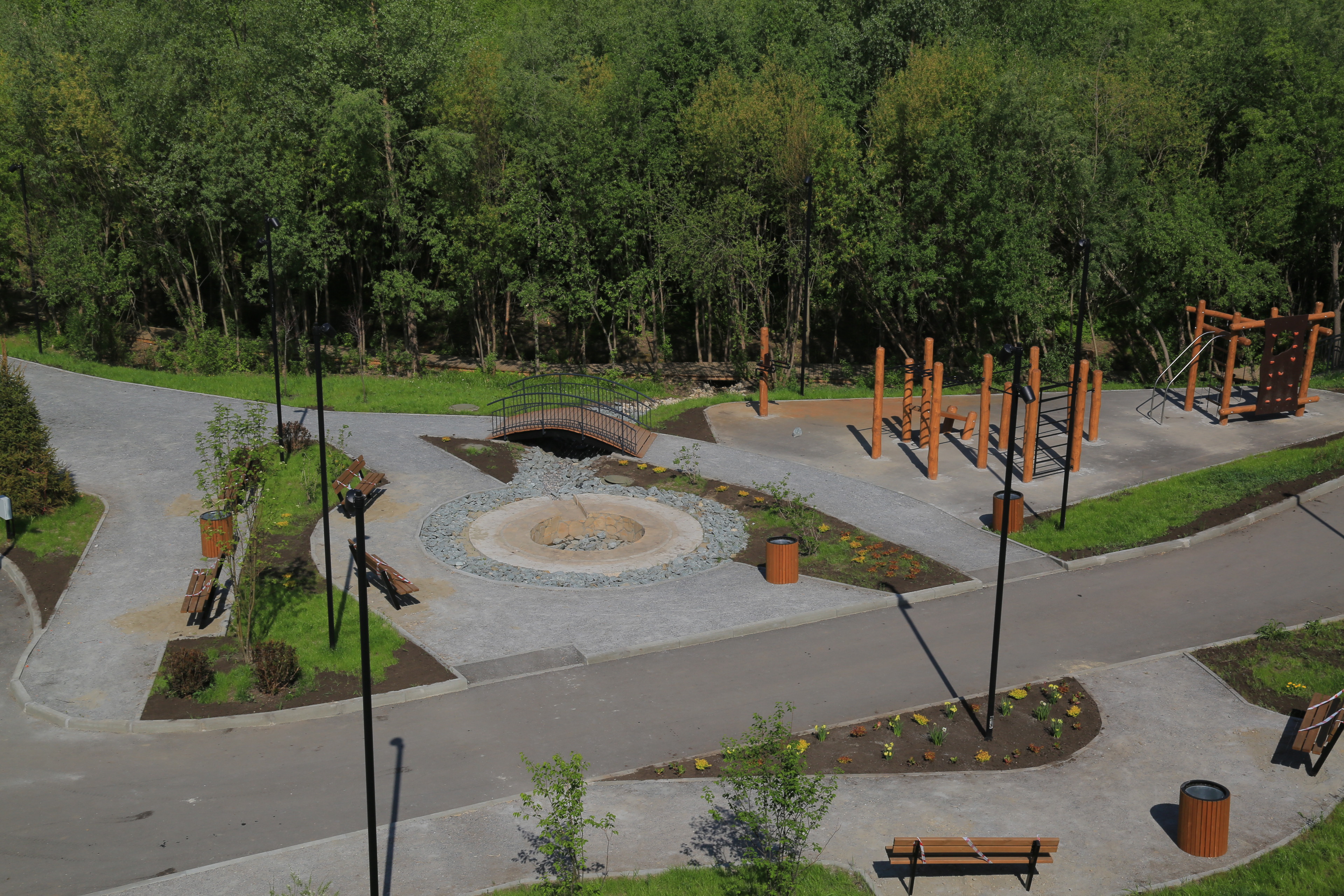 Ельцовский парк (июнь 2023 года)