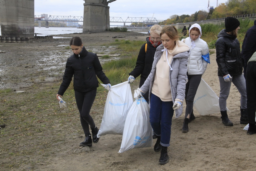 Сбор мусора на берегу Оби. Октябрь 2021 года