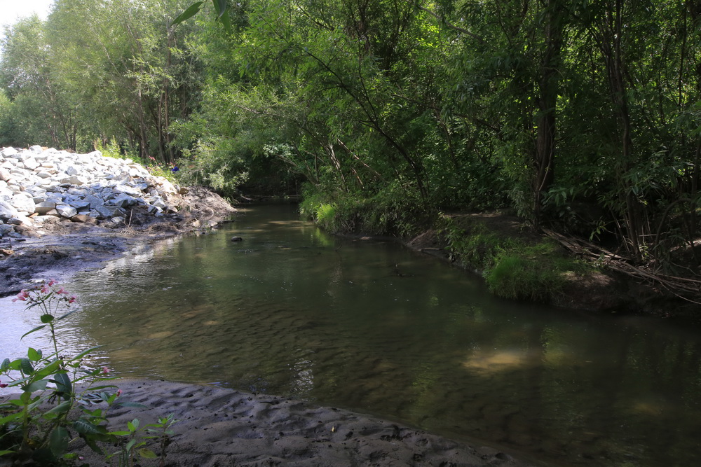 Благоустройство будущего парка в пойме Ельцовки. Июль 2022 года