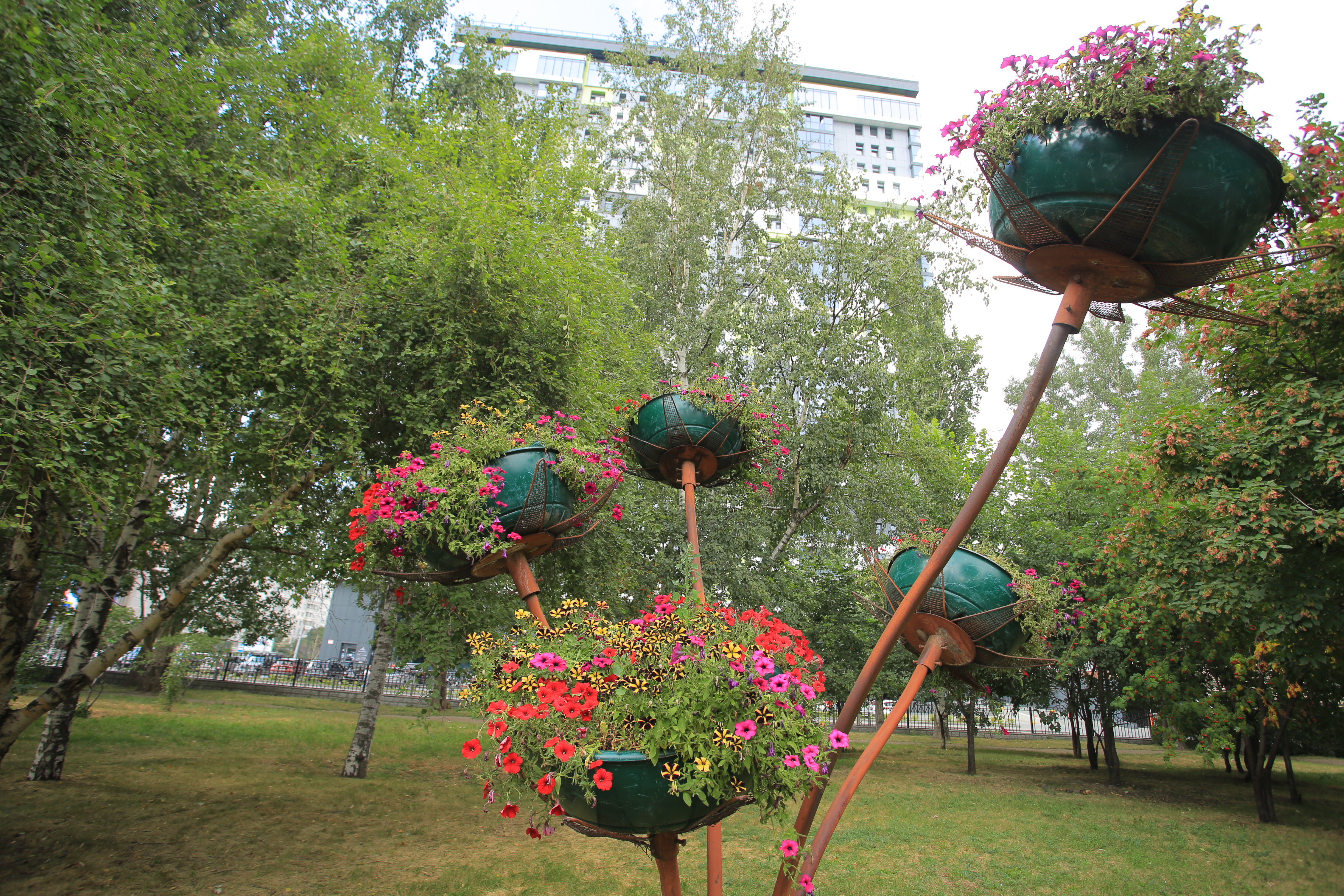 Клумбы в Нарымском сквере