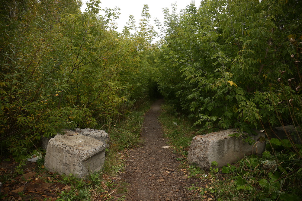 Обследование поймы Каменки. Сентябрь 2021 года