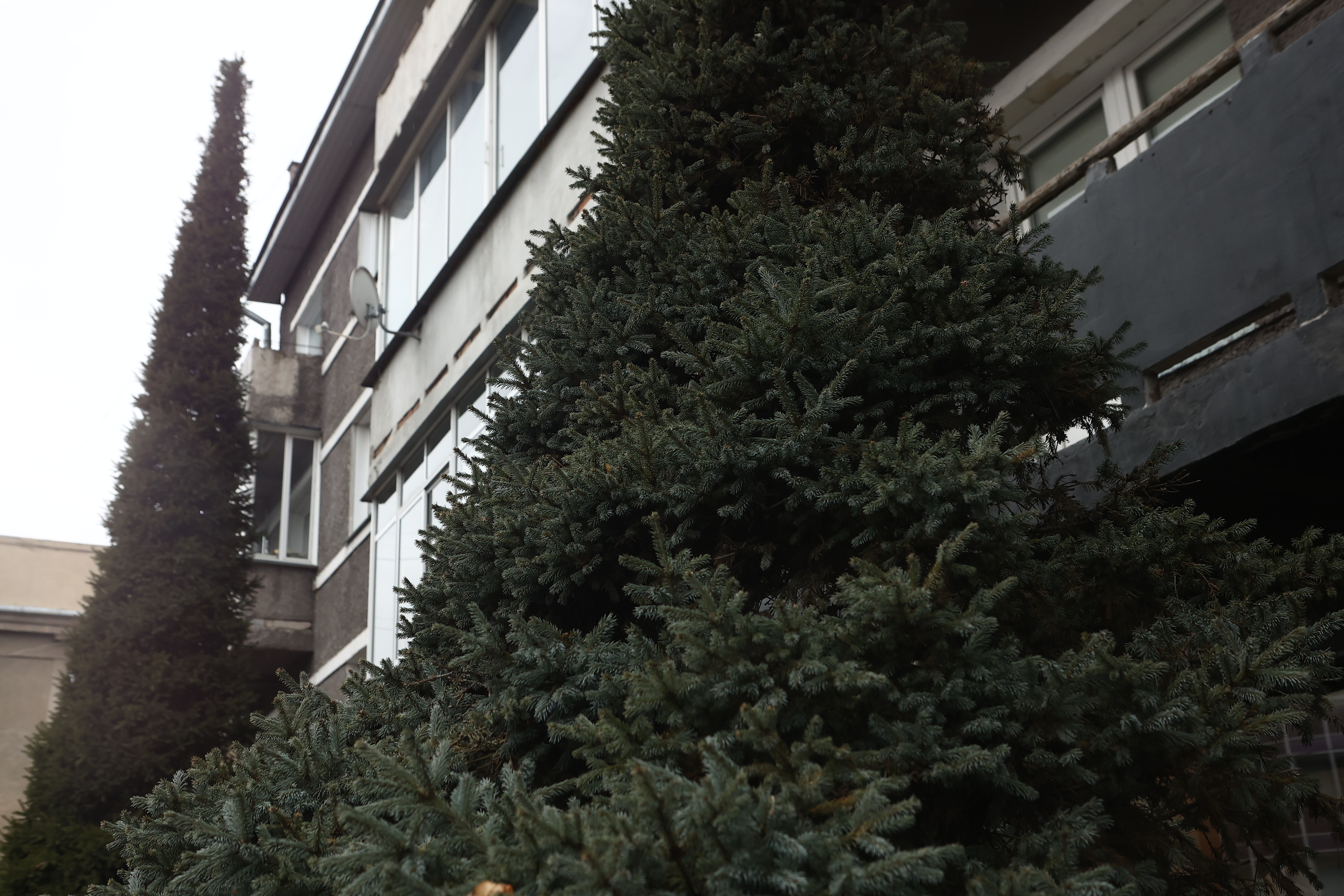 Улица Крылова, 5