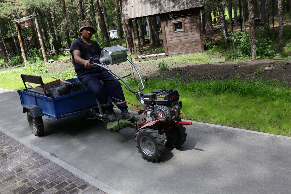 Заельцовский парк. Июнь 2022 года