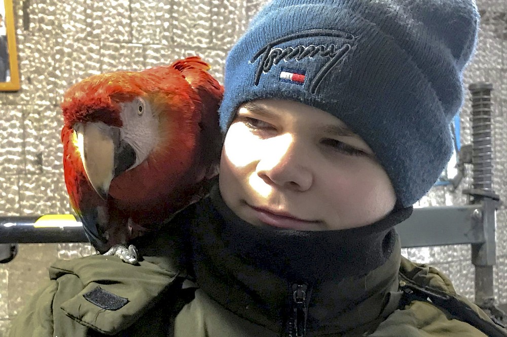 Попугай Оля