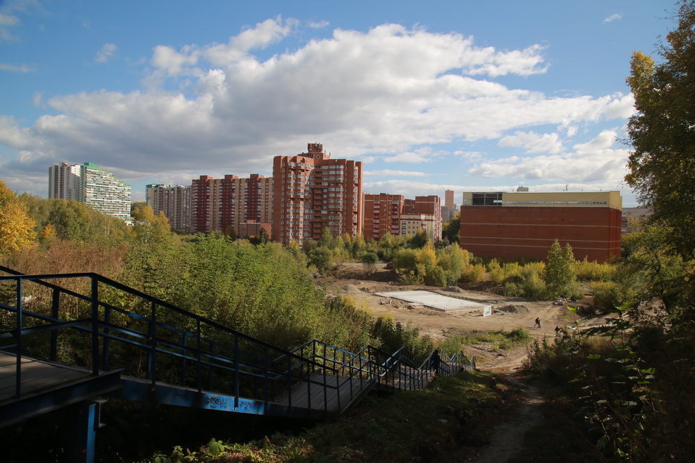 Работы по созданию парка в пойме Каменки. Сентябрь 2022 года