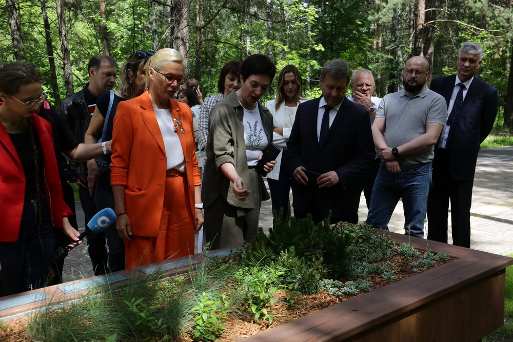 Заельцовский парк. Июнь 2022 года