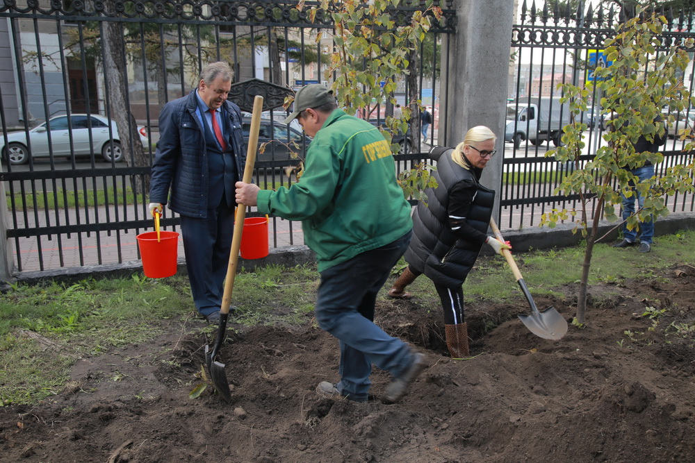 Зелёную стену из 77 лип создают в сквере Героев Революции. Август 2020 года