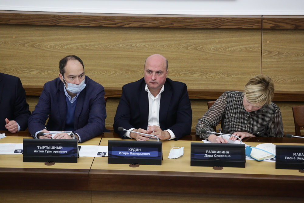 На заседании рабочей группы по водно-зелёному каркасу города