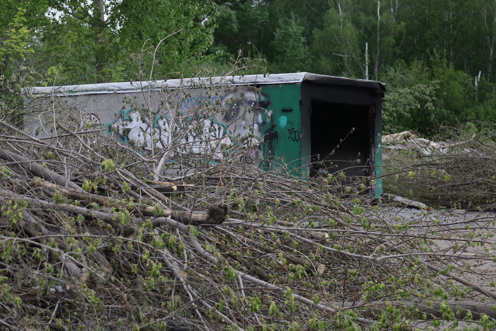 Территория будущего парка в пойме Каменки. Май 2022 года