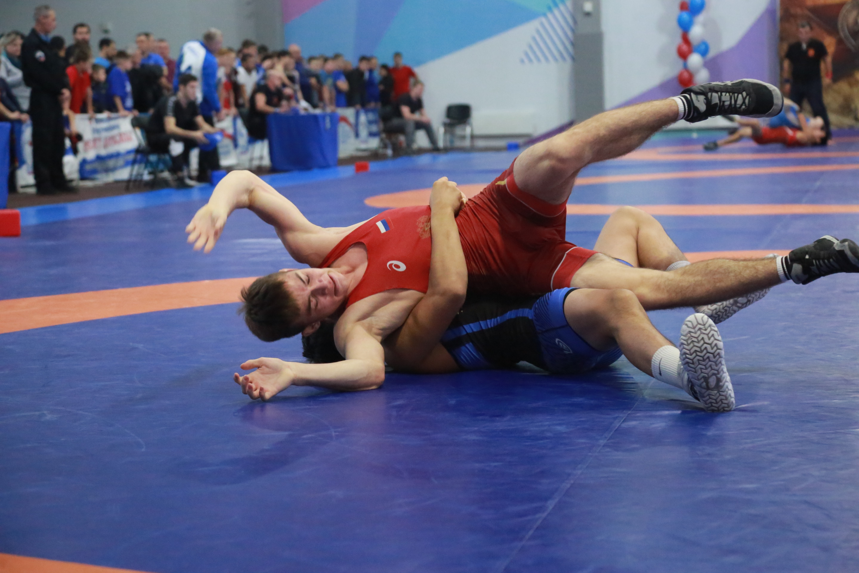 Турнир по греко-римской борьбе «Центр державы». Новосибирск, ноябрь 2022 года