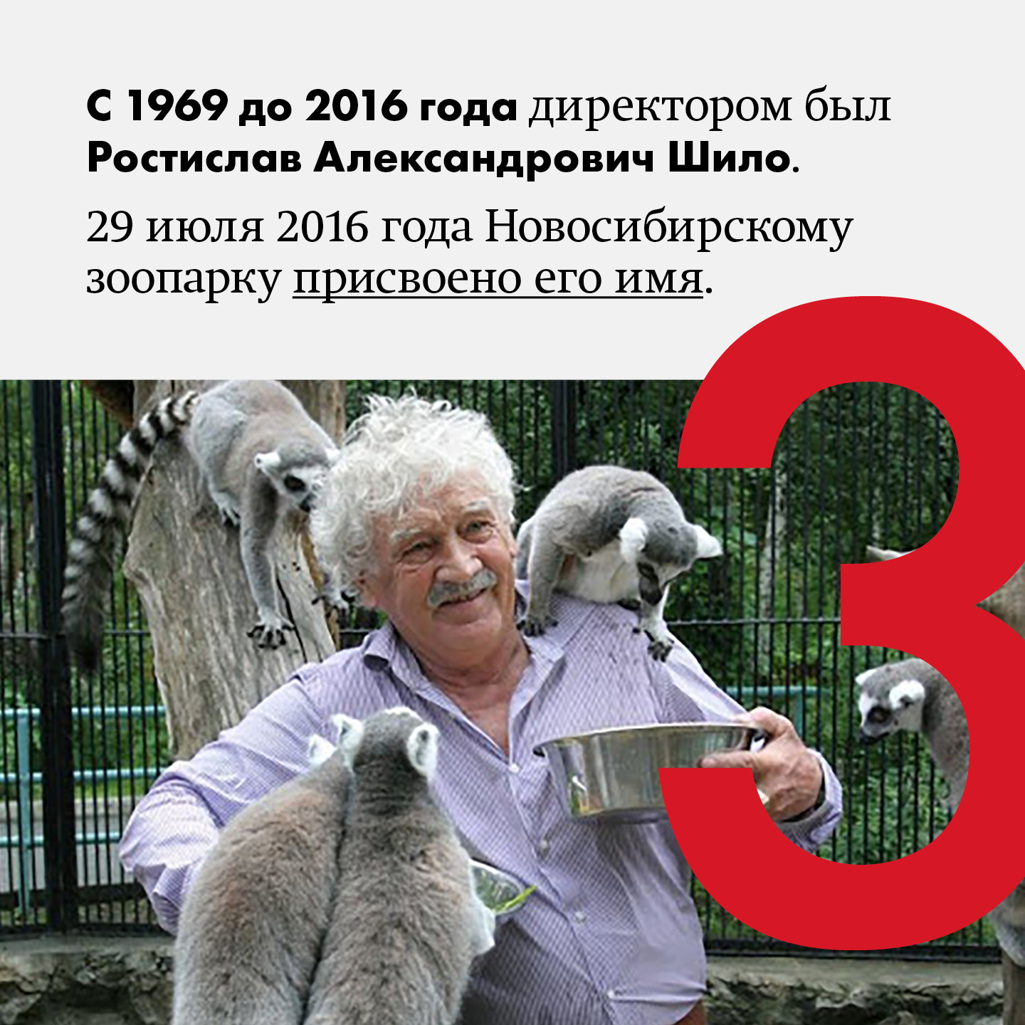 8 фактов про Новосибирский зоопарк