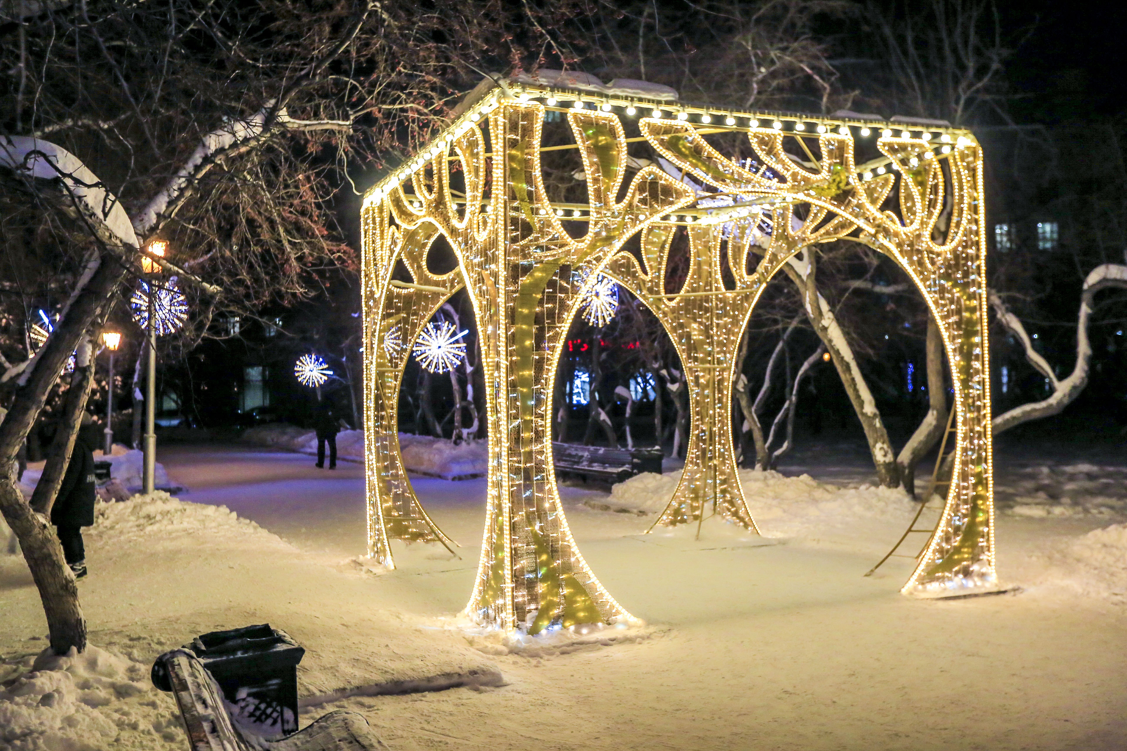 Новосибирск новогодний: Театральный сквер