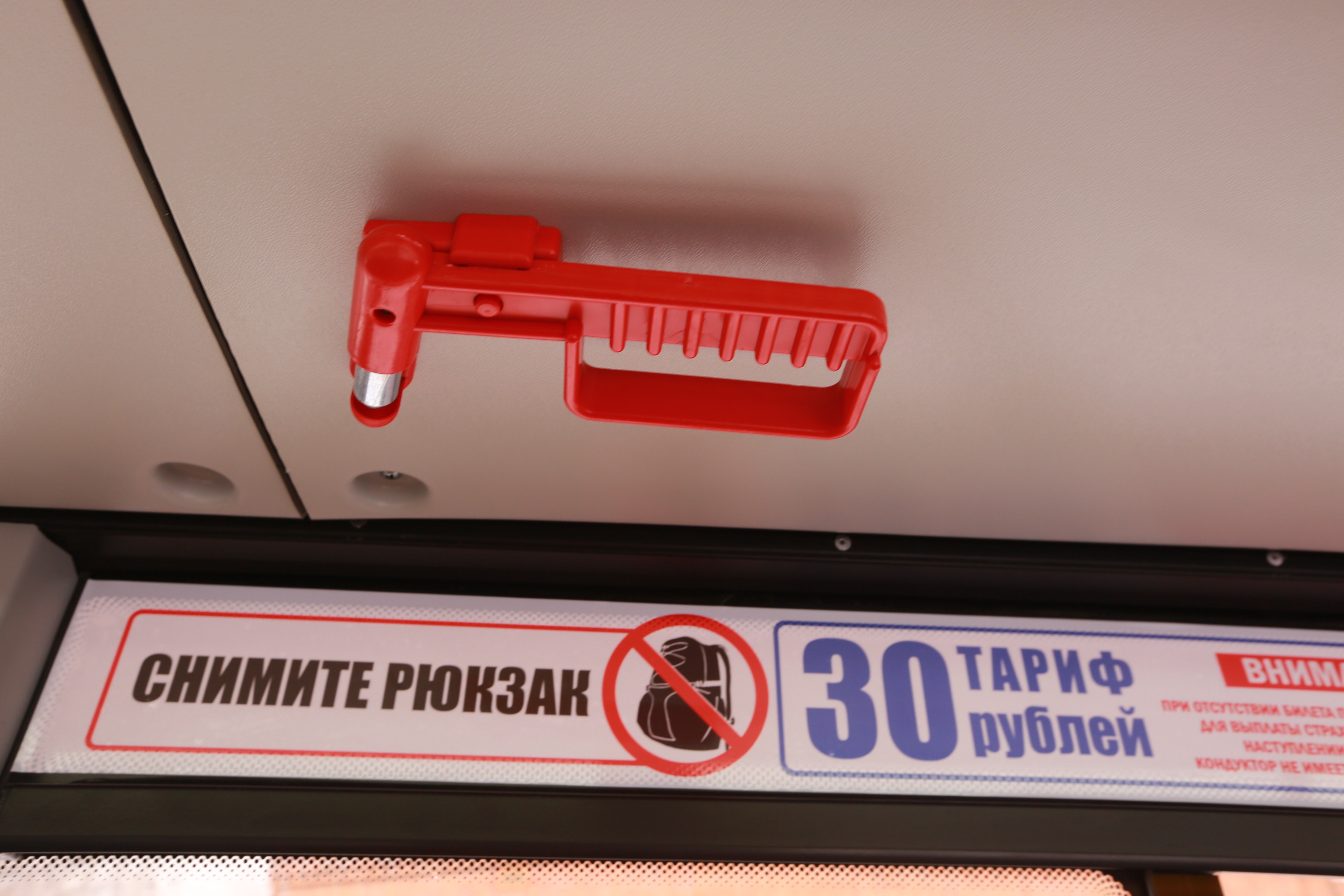 Новое поступление троллейбусов. Январь 2023 года