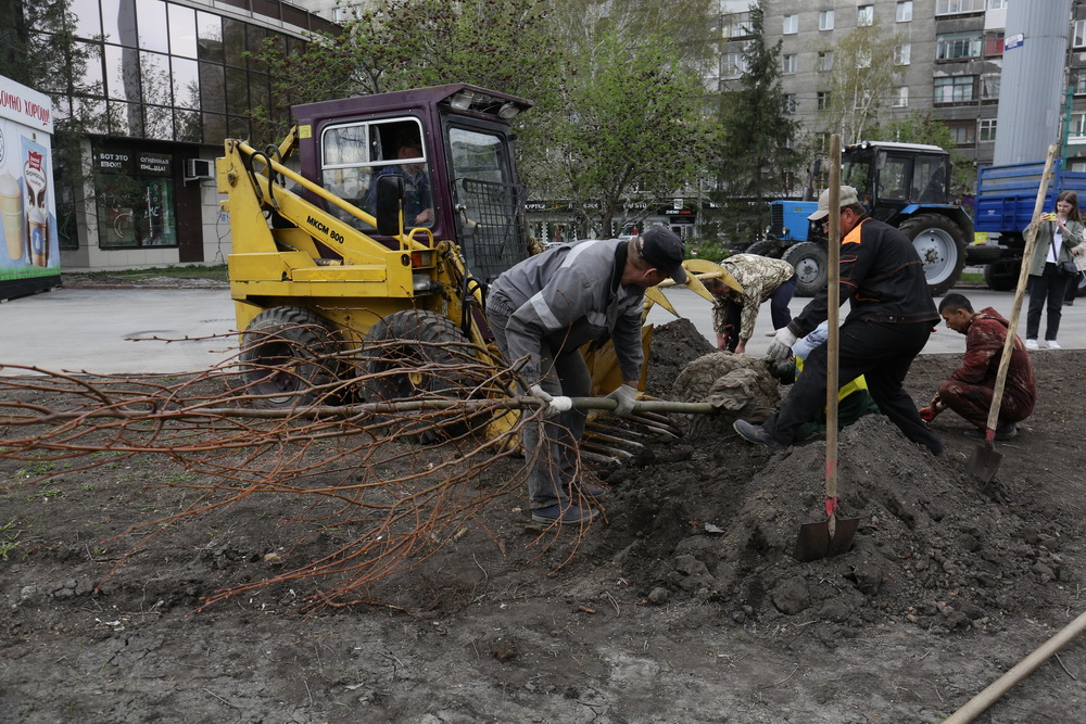 Высадка лип на Вокзальной магистрали. Май 2022 года