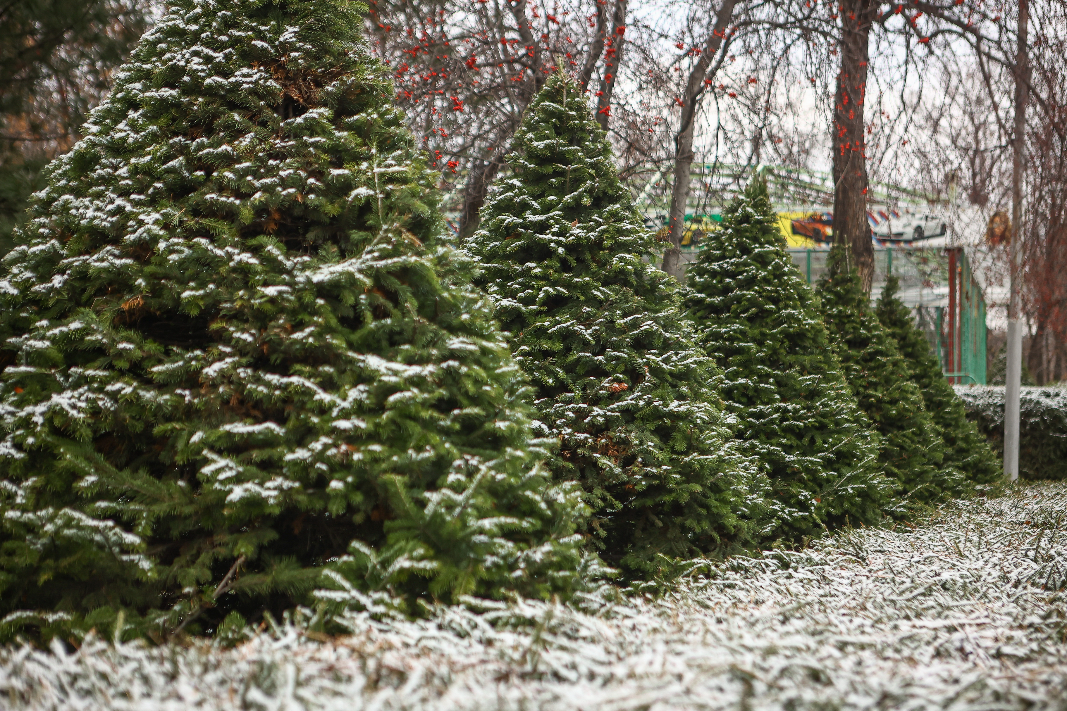 Парк имени Кирова