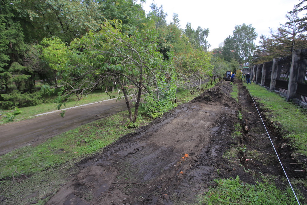 Зелёную стену из 77 лип создают в сквере Героев Революции. Август 2020 года