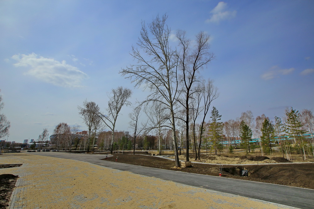 Парк «Арена» у нового ЛДС в Новосибирске готов на 65%