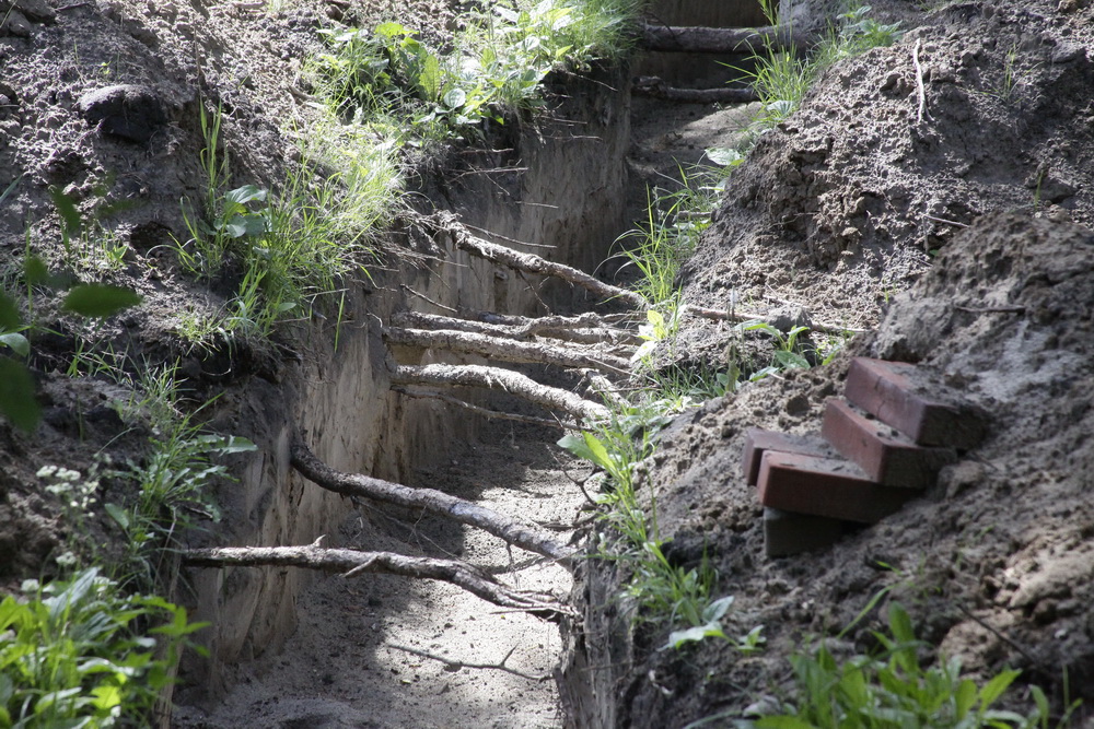 Реконструкция Заельцовского парка. Июль 2021 года