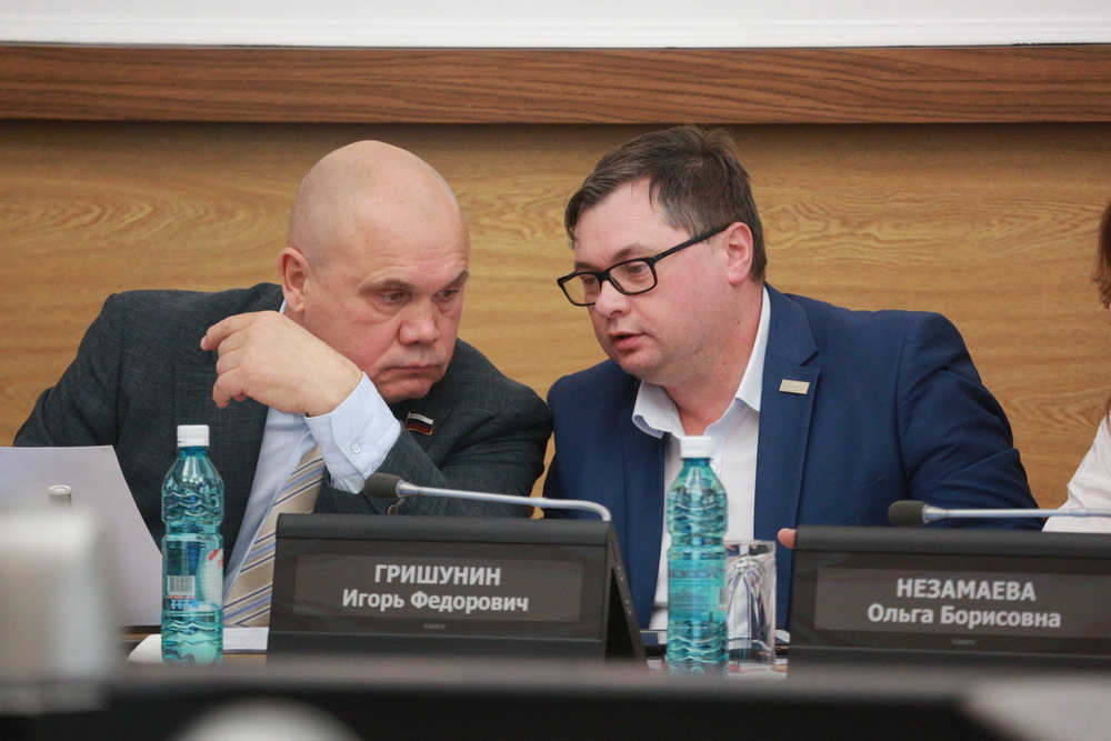 На заседании координационного совета по проблемам граждан пожилого возраста и инвалидов