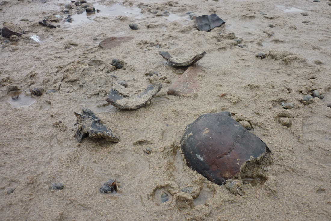 Старый Бердск