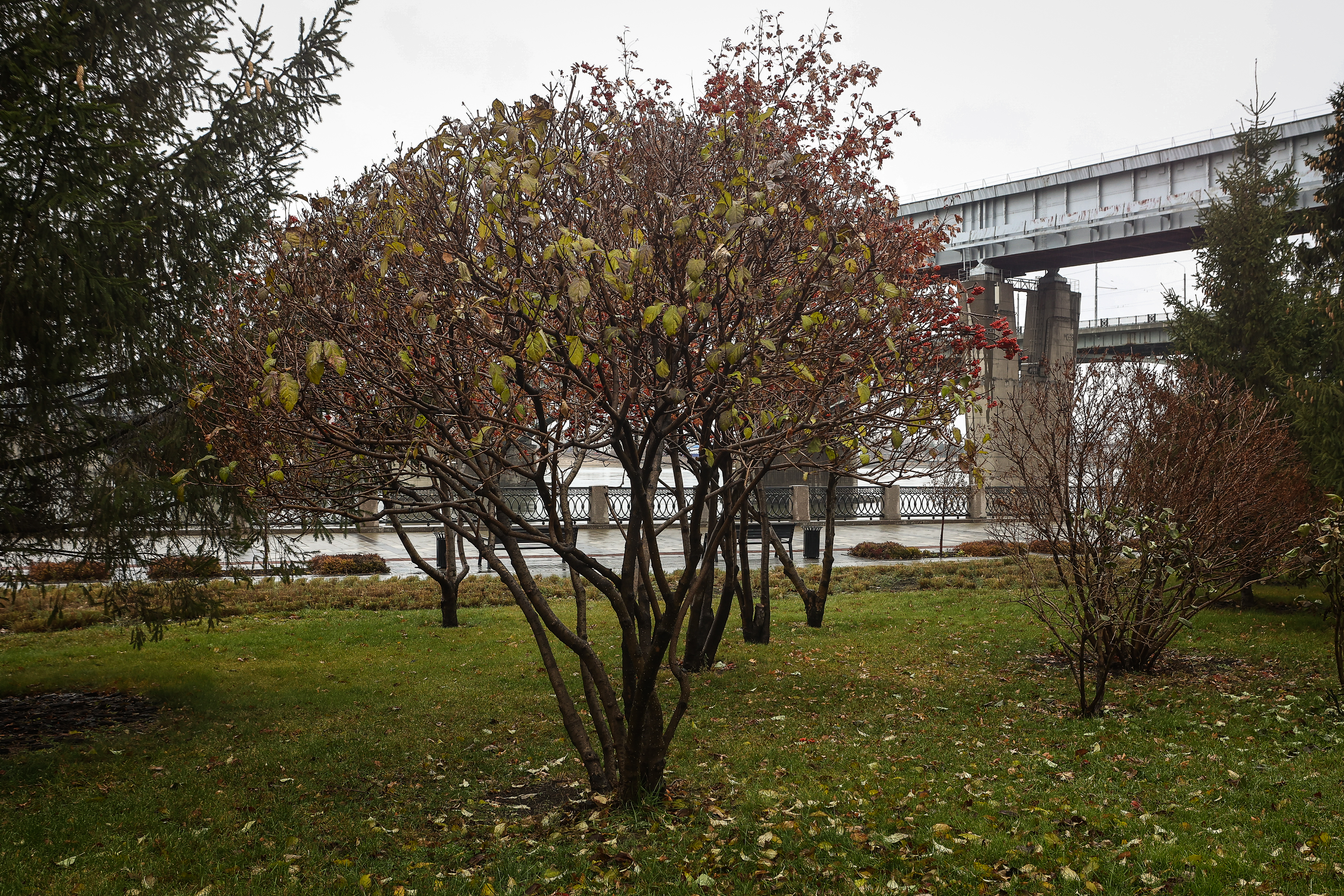 Михайловская набережная