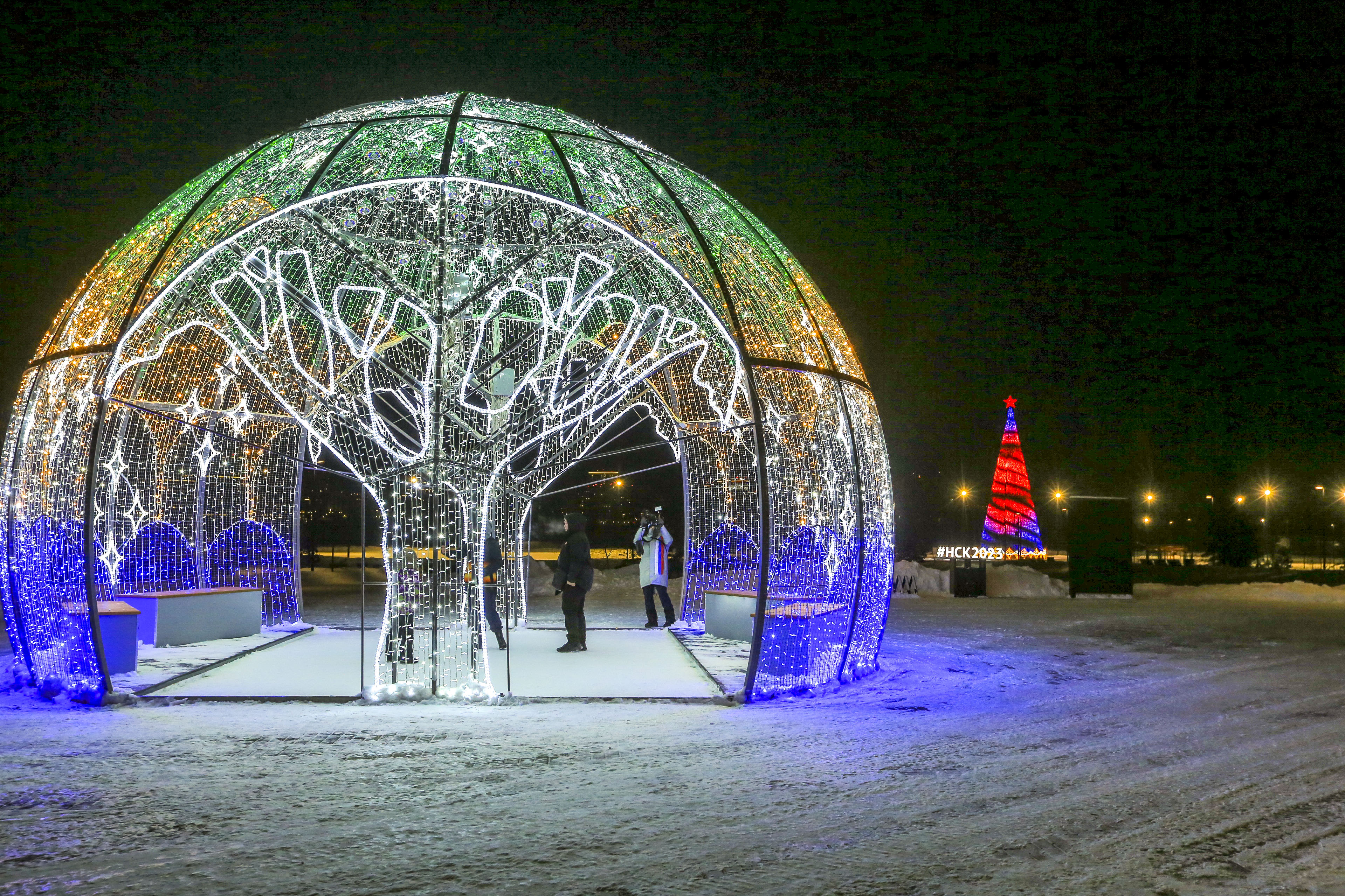 Новосибирск новогодний: парк «Арена»