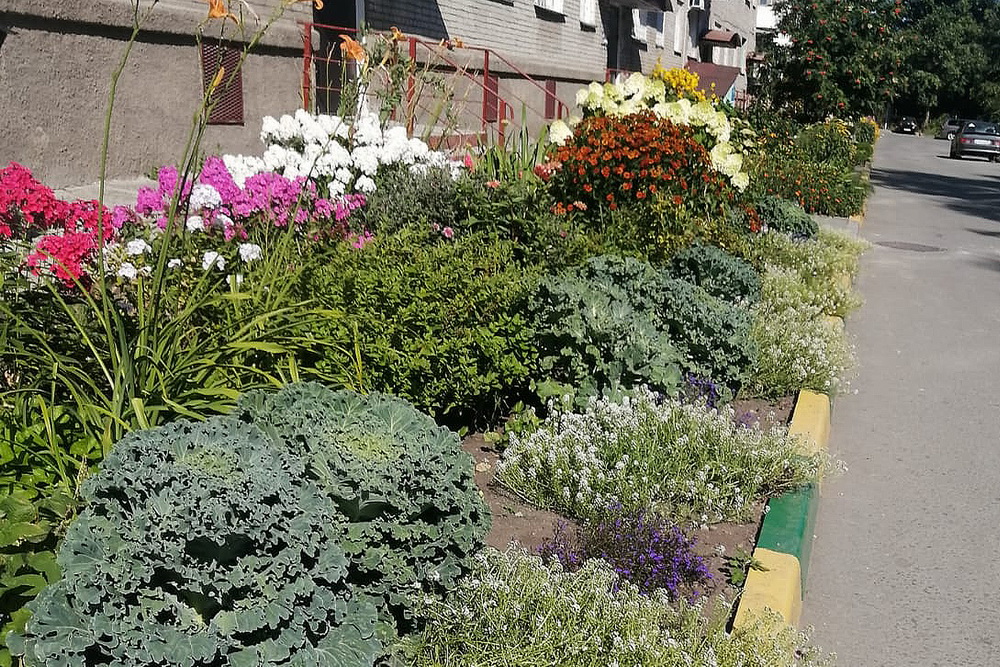 Ул. Динамовцев, 14 (Советский район)