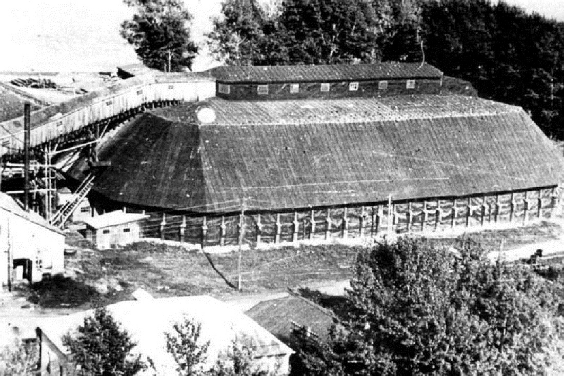 Зернохранилище «Мастодонт» в Камне-на-Оби