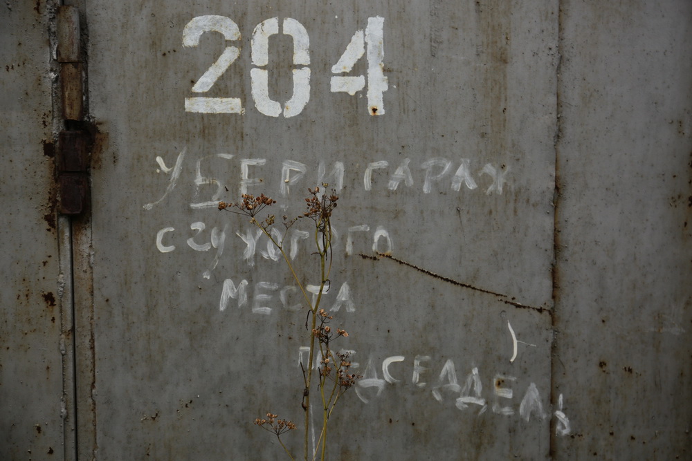 Обследование поймы Каменки. Сентябрь 2021 года