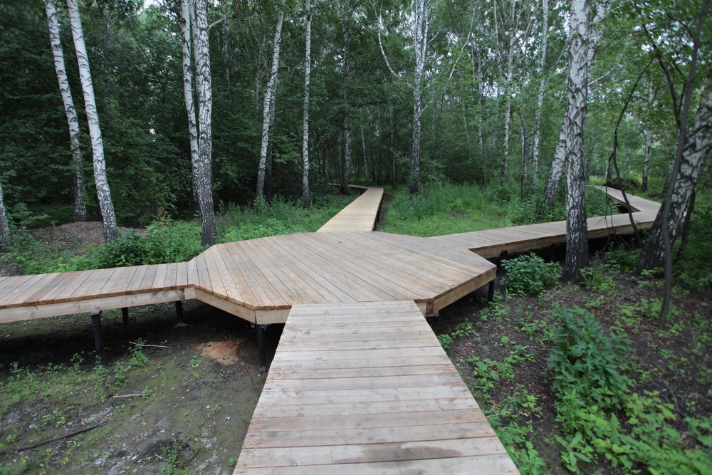 Будущий парк у Каменки. Июль 2023 года