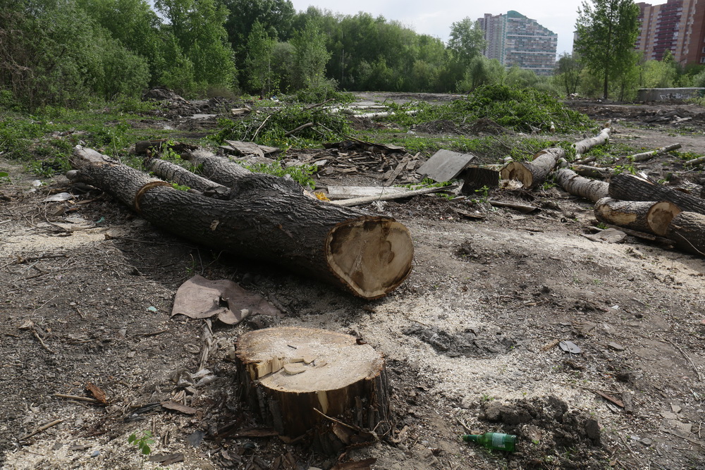 Территория будущего парка в пойме Каменки. Май 2022 года