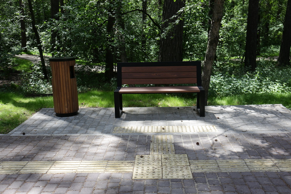 Заельцовский парк. Июнь 2022 года