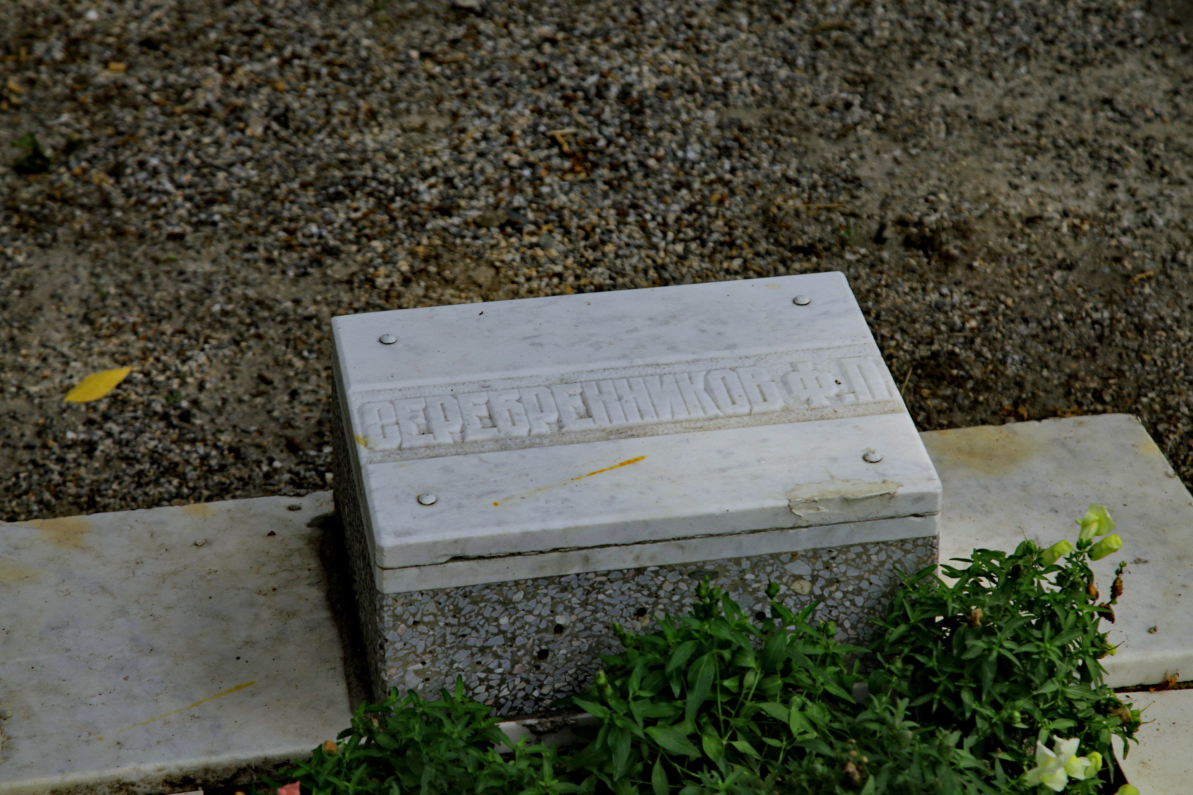 Братская могила пятёрки большевиков (лето 2020 года)