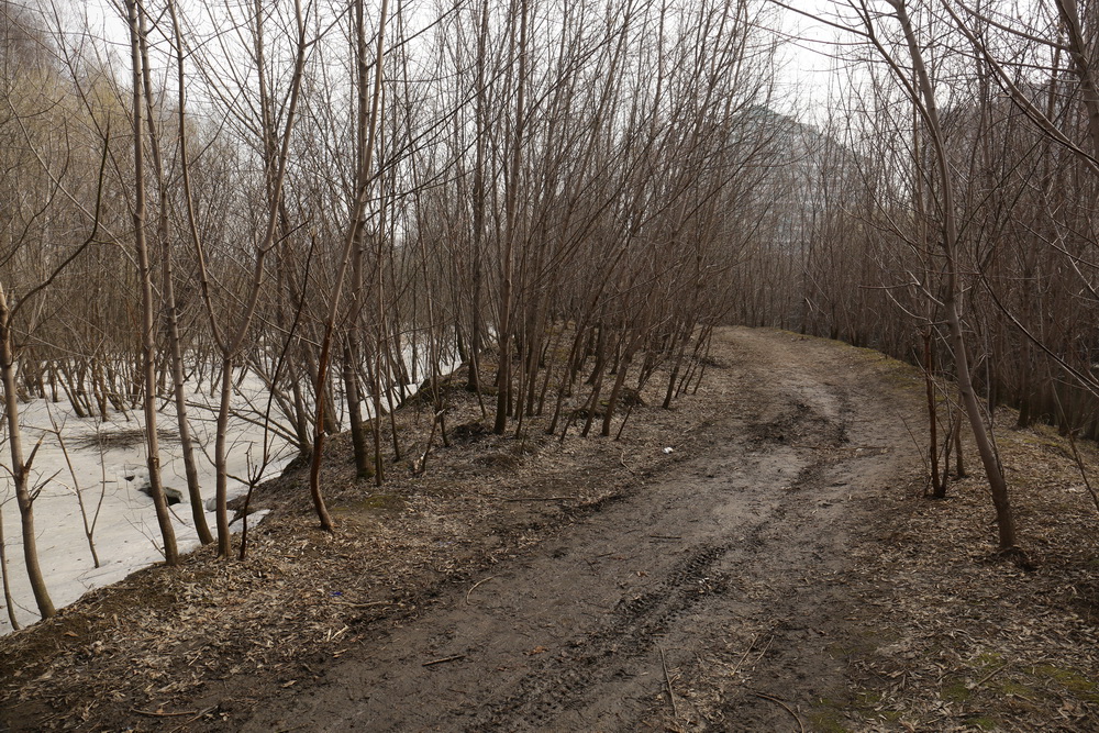 Пойма реки Каменки. Апрель 2022 года