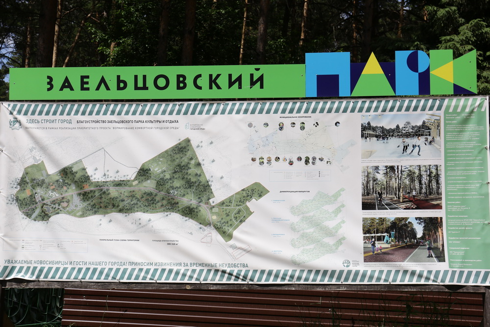 Заельцовский парк. Июнь 2022 года