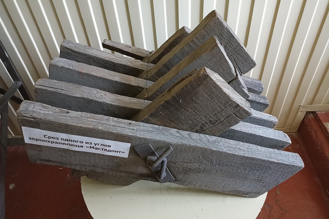 Срез одного из углов зернохранилища «Мастодонт» в Каменском районном краеведческом музее (Камень-на-Оби)