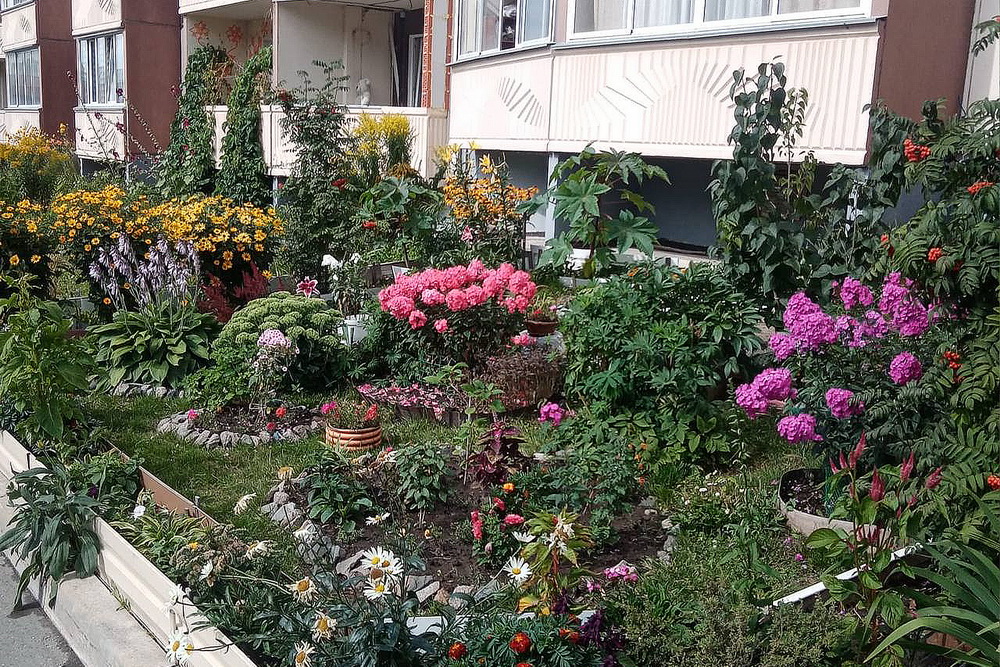 Ул. Мясниковой, 10 (Калининский район)