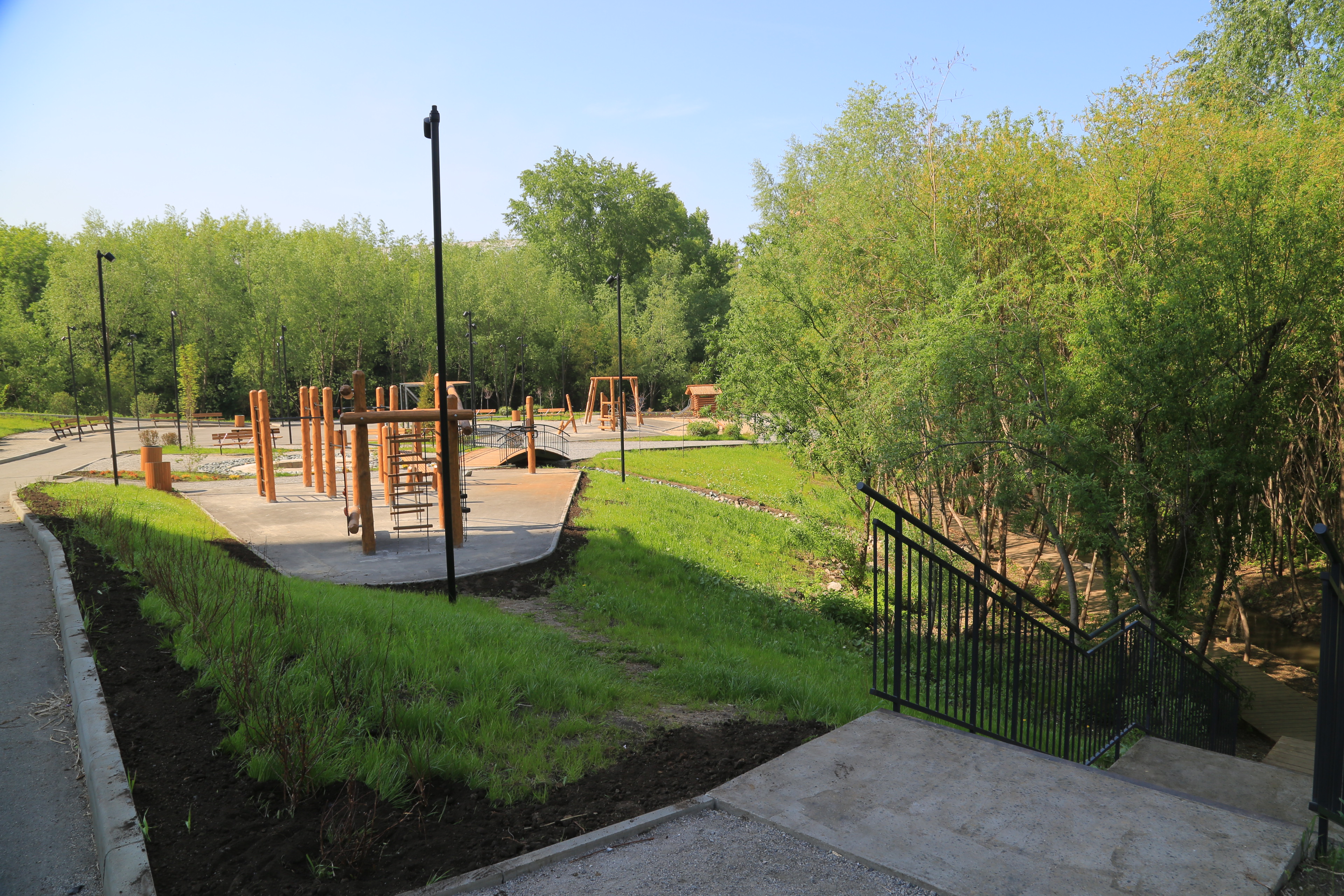 Ельцовский парк (июнь 2023 года)