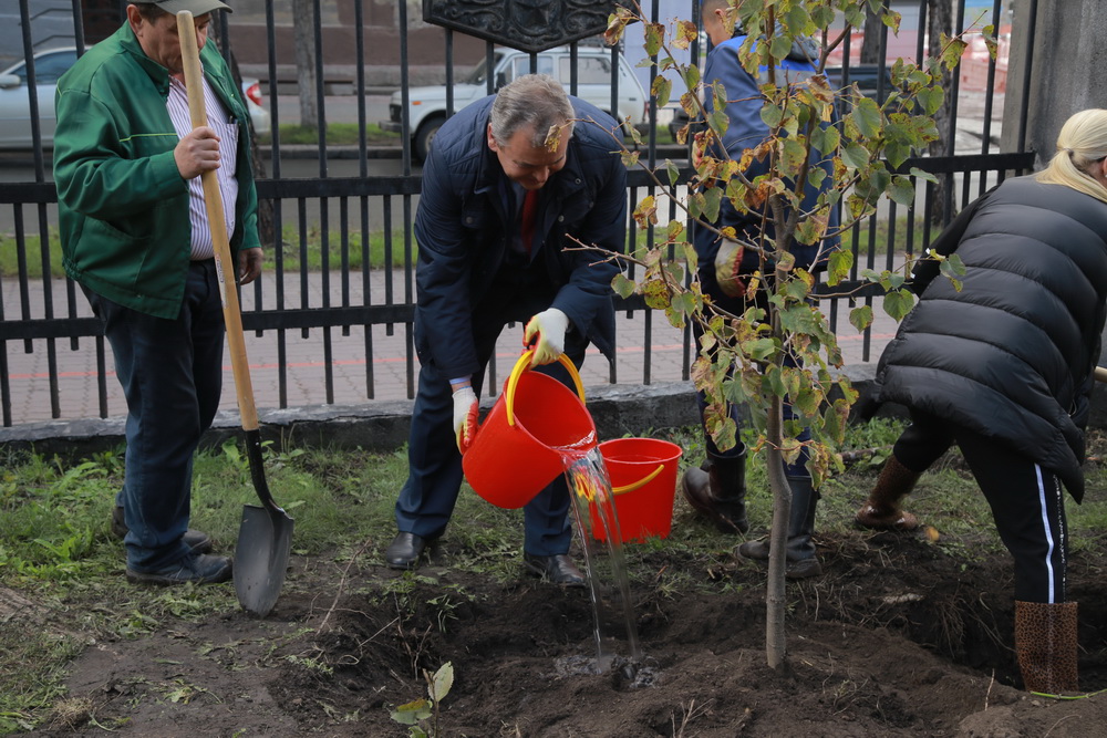 Зелёную стену из 77 лип создают в сквере Героев Революции. Август 2020 года