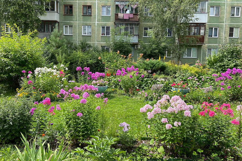 Ул. Петухова, 46 (Кировский район)