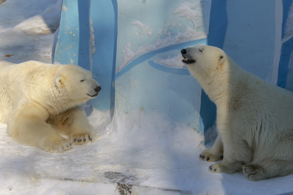 Кай и Герда после двухлетней разлуки