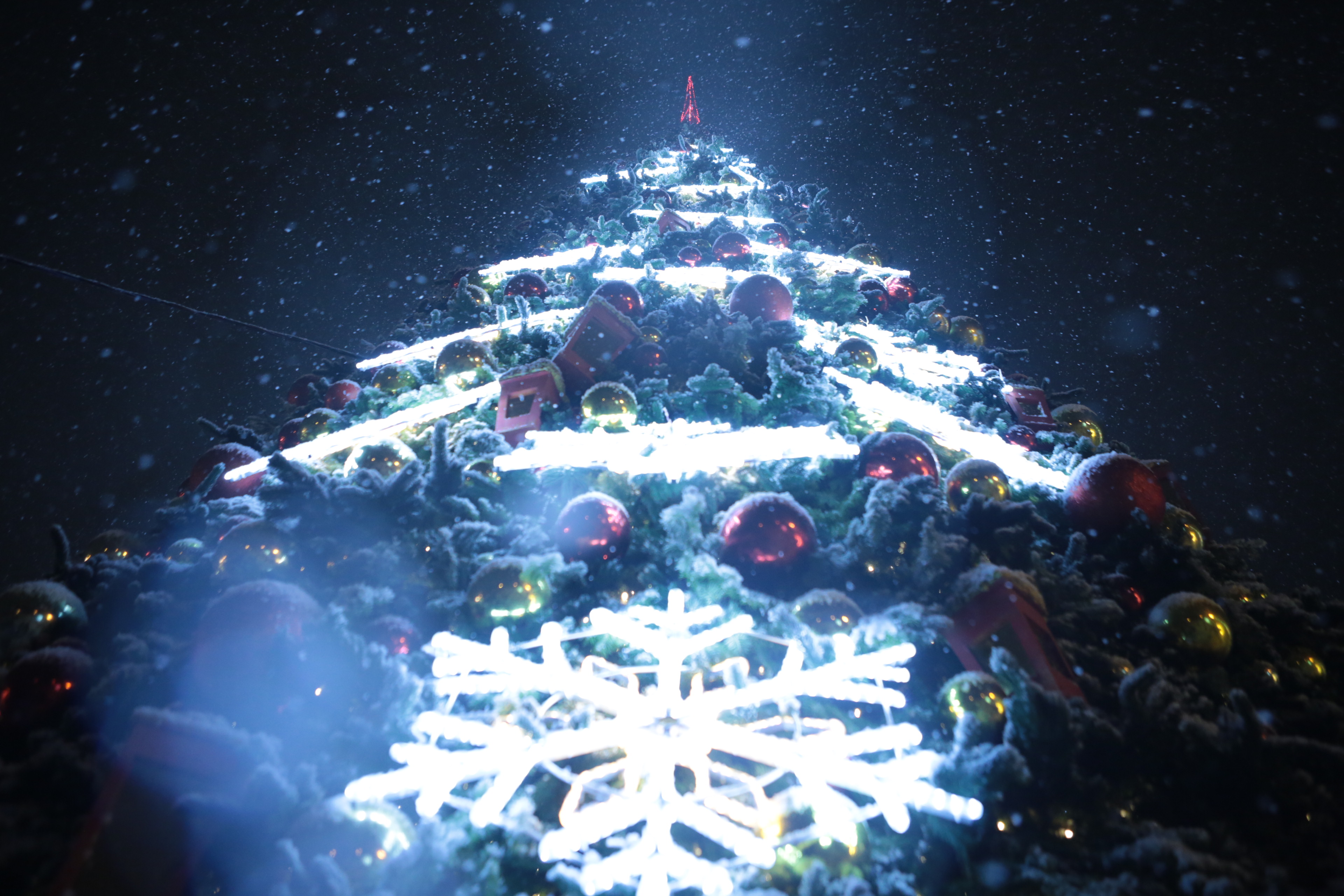 Ёлка на площади Ленина