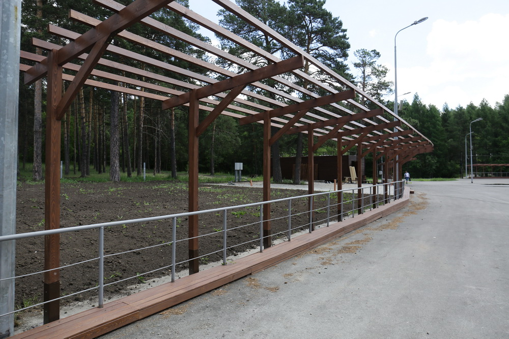 Заельцовский парк. Июнь 2022 года