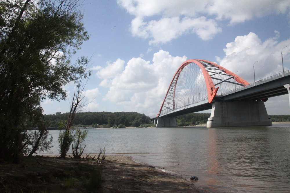 Уборка на острове Кустовой под Бугринским мостом. Июль 2022 года