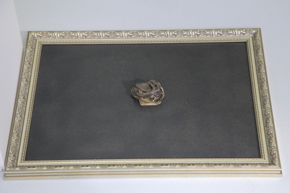 «48 часов Новосибирск» в 2019 году