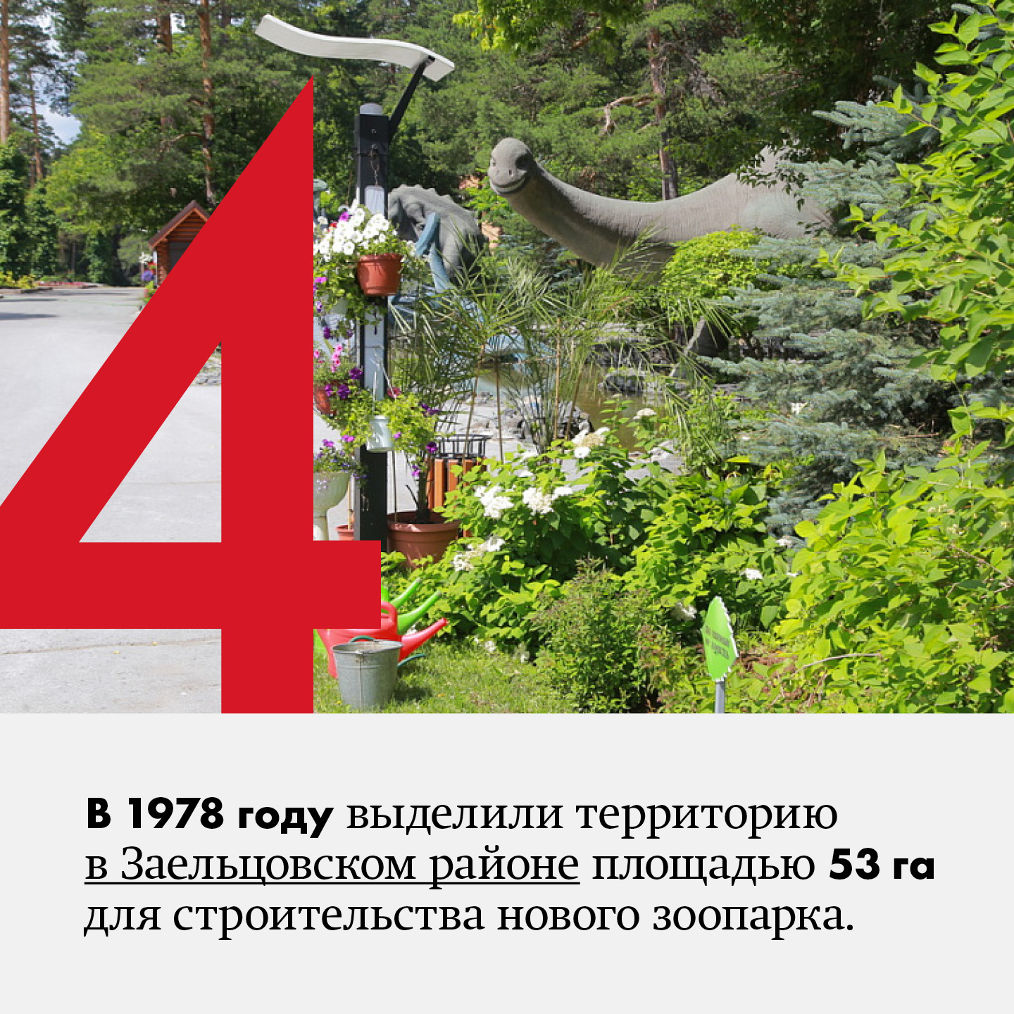 8 фактов про Новосибирский зоопарк