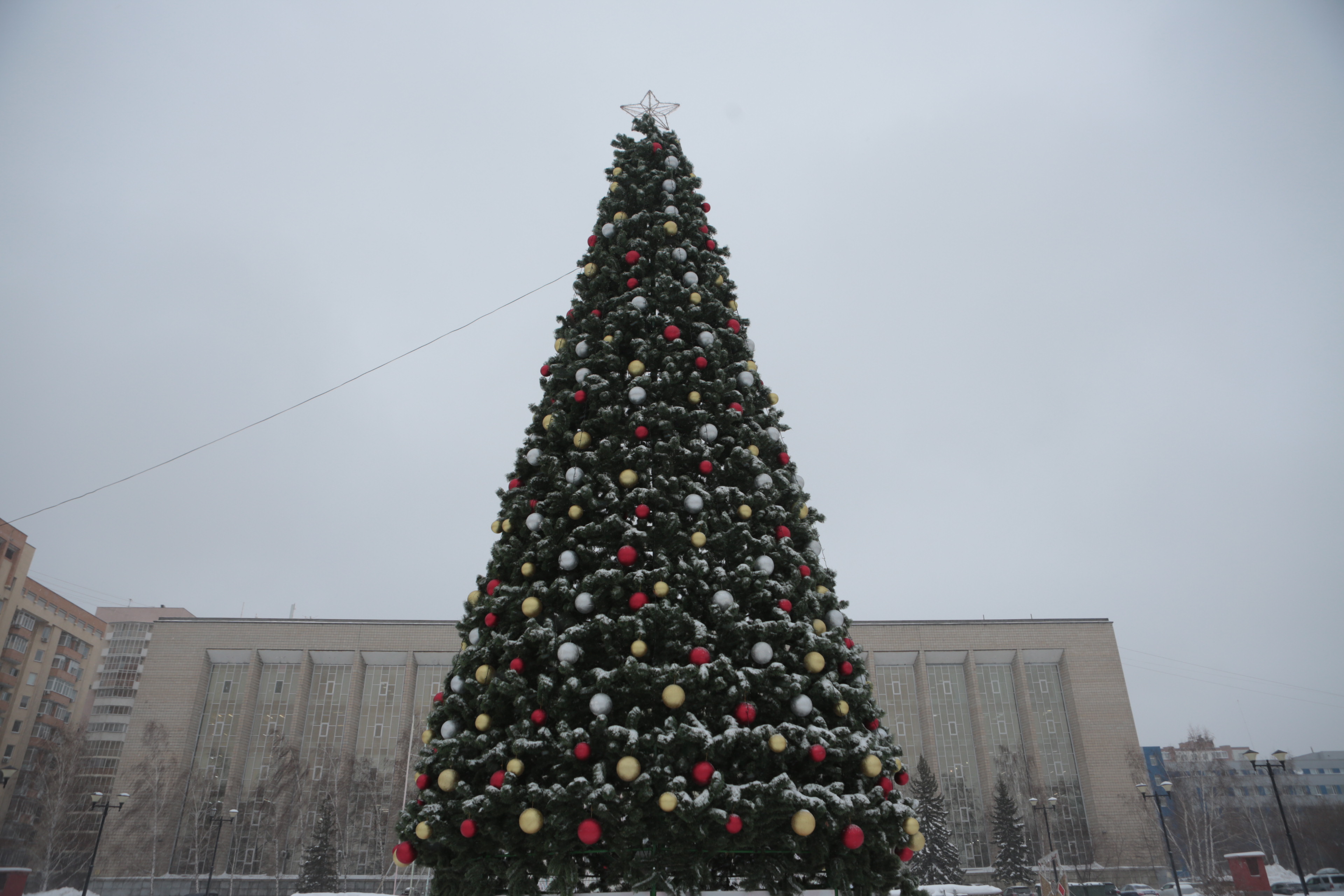 Ёлка у ГПНТБ